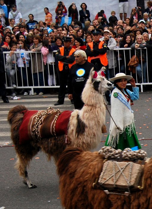 fig05dsc 9489llamas