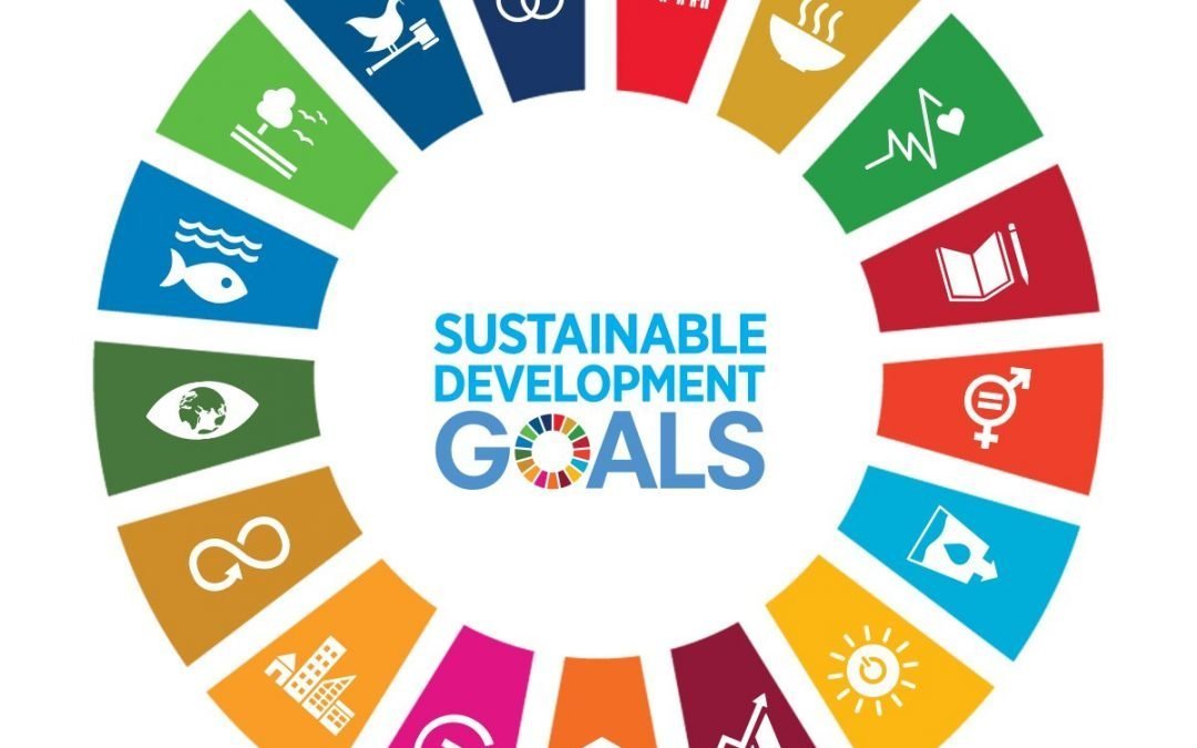 ONLINE | Launch of CDP Paper – National Reports on the 2030 Agenda: What do they (not) reveal?